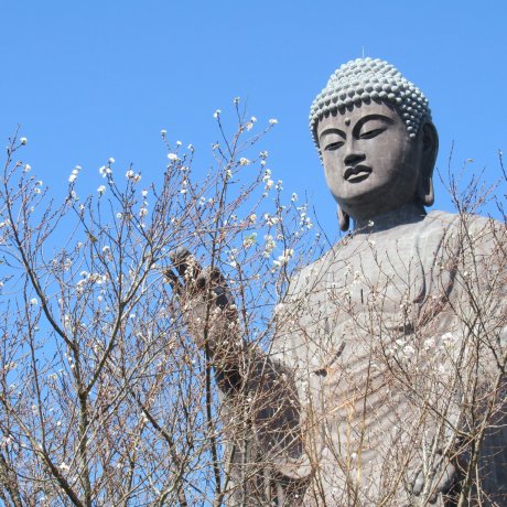 Чудо Амида Будды