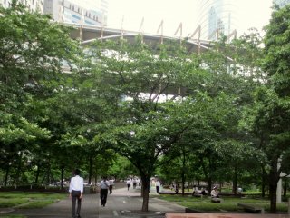 Enjoy the greenery in the middle of the city