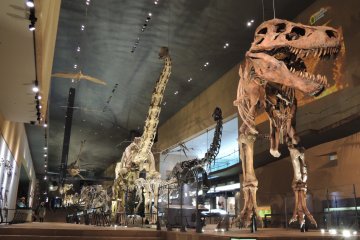 Kitakyushu Natural History Museum