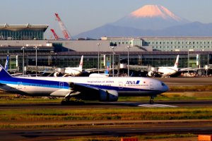 ANA's new service complements the existing Sydney service from Haneda