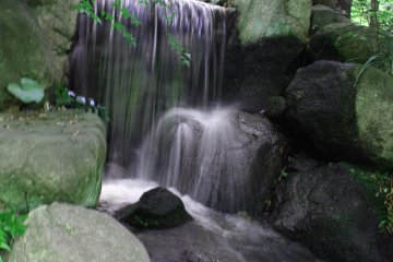 The rushing waters of the waterfall complement the harmony of the garden.