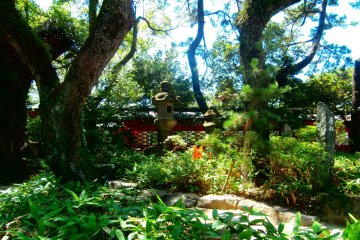 A Japanese style garden