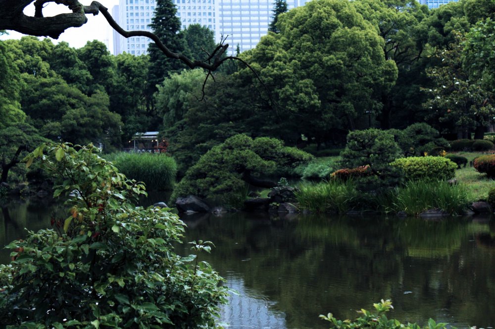 Summertime brings out luscious green from the trees and bushes that fill Hibiya Park.