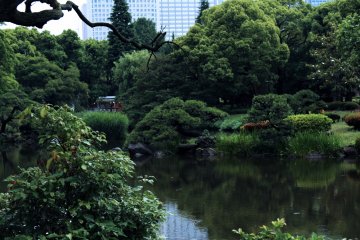 Hibiya Park in Central Tokyo