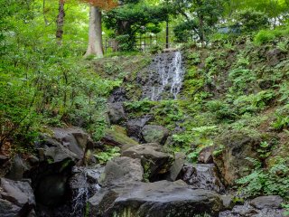 There is also a hidden waterfall in the central section of the park, although not heavily flowing, it still adds to the serenity.