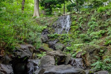There is also a hidden waterfall in the central section of the park, although not heavily flowing, it still adds to the serenity.