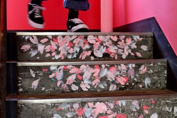 The path to the Airbnb is a carpet of sakura petals