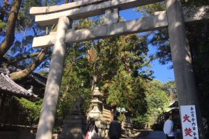 Pintu masuk menuju kuil Okazaki. Tidak ada sosok kelinci yang terlihat di daerah ini, sehingga terlihat seperti jalan biasa menuju kuil.