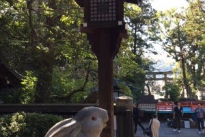 Rabbit Shrine　うさぎ神社