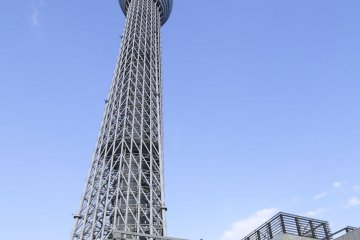 The curves of Tokyo Skytree appear different from various vantage points