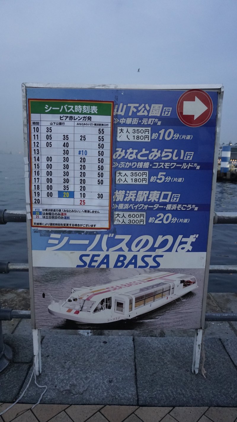 Sea Bass information board