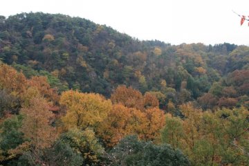 Autumn colors from the lookout