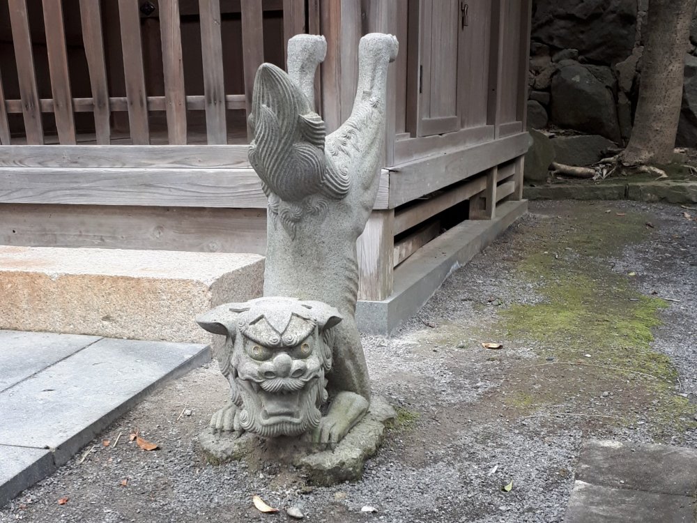 Komainu lion-dog standing.... watch over the shrine and warding away evil spirits.