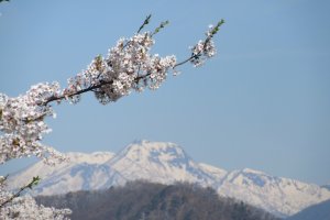 Весна в горах Хида