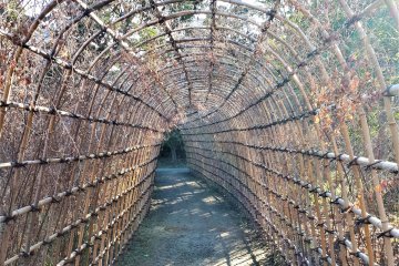 The famous Hagi, or Bush Clover, Tunnel. Quiet in winter though...