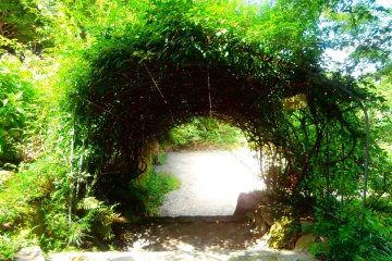 <p>An entrance leading you into the world of the winery</p>