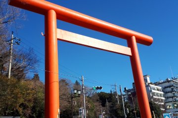 The torii gate to the mountain 