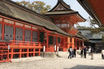 The grand shrine of Usa is as beautiful as the ones in Kyoto