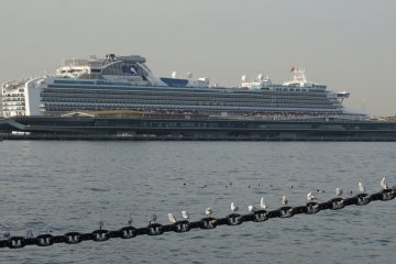 Yokohama Osanbashi Port Guide 