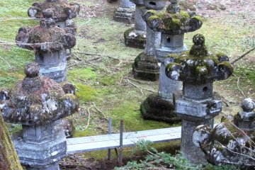 Rows of ancient lanterns in Nikko