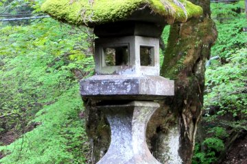 Another moss covered lantern, Nikko