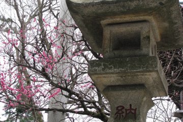 Old stone lantern on Takao-san