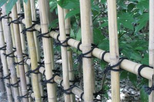 Ограда из бамбука