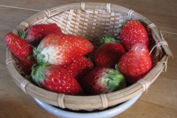 Strawberry is sold in winter and spring