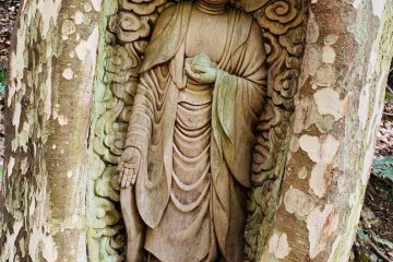 The living jizo (image of Buddha) on the Temple Trail, Kiriyama, Shikoku
