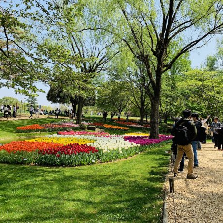 Spring Flower Festival 2019