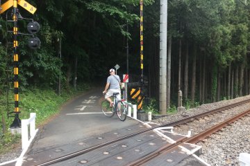 Cycle into a forest beside the train tracks