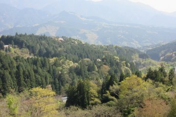 The woods and hills on the way to Hiraizumi