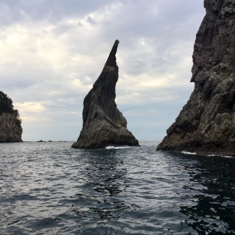 Incredibly Captivating Dogo Island