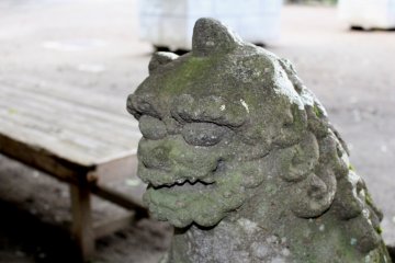 Komainu showing the beginning with its open mouth