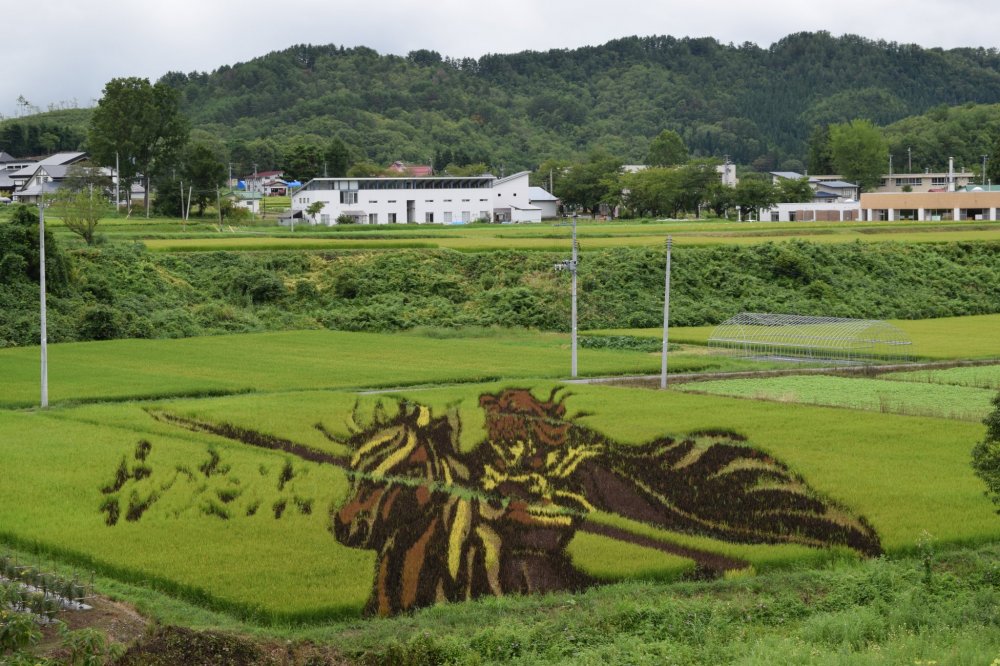 Incredible rice field art we saw along the way
