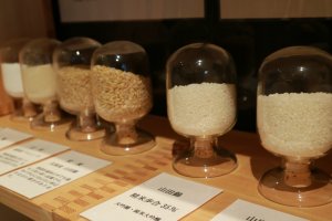 No Japan Sake and Shochu Information Center é possível ver amostras de arroz antes e depois do polimento