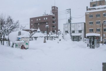 The Niseko Bus stop during the winter season. There are timetables for each bus displayed at the bus stop