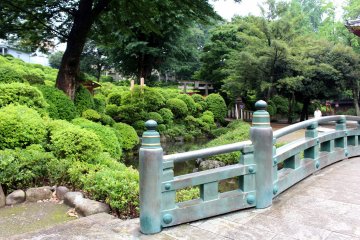 Зелень храма Нэдзу