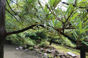 The garden of Nezu Jinja