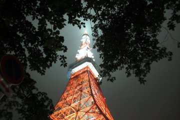 New illumination of Tokyo Tower