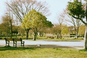 Toneri Park in Adachi City