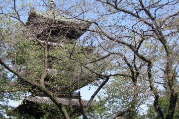 A pagoda in Ueno