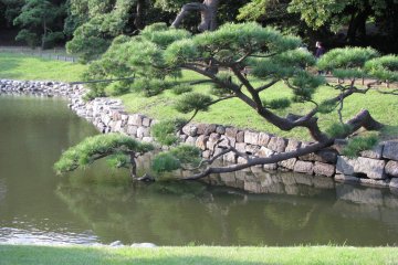 Традиционный японский сад Хама Рикю