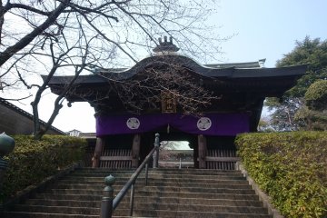 The sanmon gate at the temple