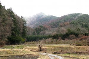 Nagano prefecture's rural scenery
