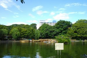 Mitsugi Park and its large open pond 
