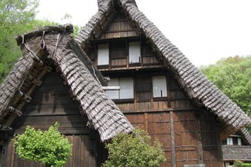 The houses from Shirakawa-go