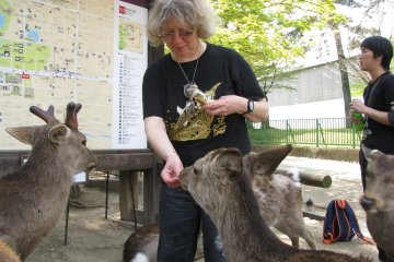 Feeding the deer of Nara