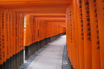 The infinite torii at Fushimi Inari Taisha