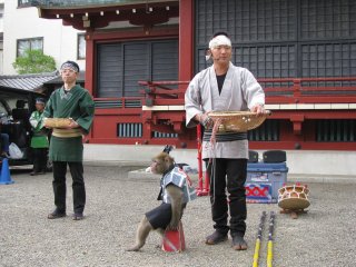 Представление с обезьянкой в Асакусе